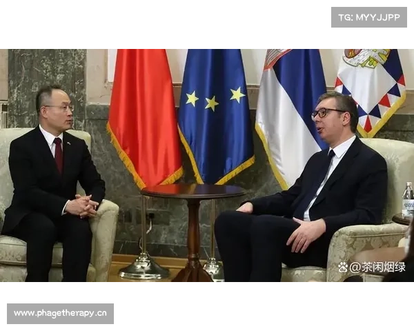两个亲俄国家要干大事?武契奇:塞尔维亚或与匈牙利建立军事联盟 两个亲俄国家要干大事?武契奇:塞尔维亚或与匈牙利建立军事联盟