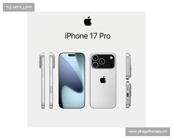 iPhone 17 即将发布,3 款新配色提前曝光 iPhone 17 即将发布,3 款新配色提前曝光