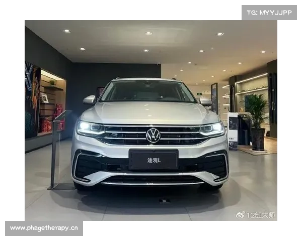XL加大码体验轻松Get 途观X与途观L带来SUV多元选择 XL加大码体验轻松Get 途观X与途观L带来SUV多元选择