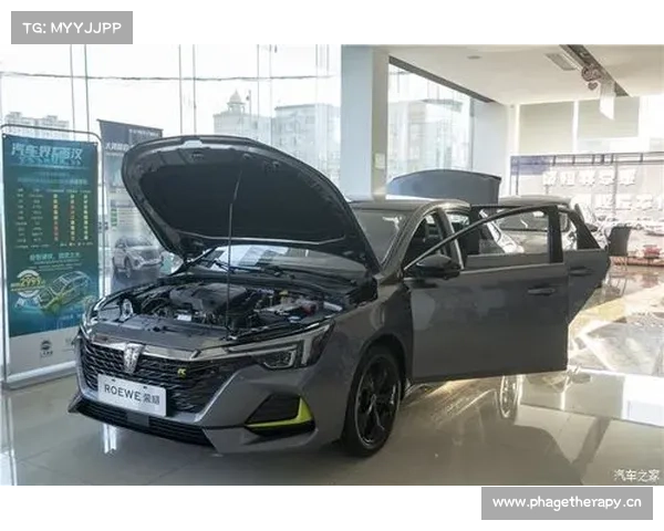 《萝卜三分钟》之荣威i6静态体验